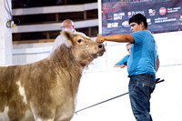 KSO_9347
