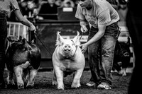 Exhibitor Highlight Reels