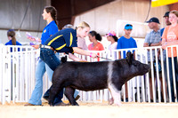 Overall Market Swine Drive