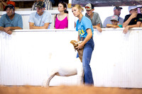 KSO_8281-2