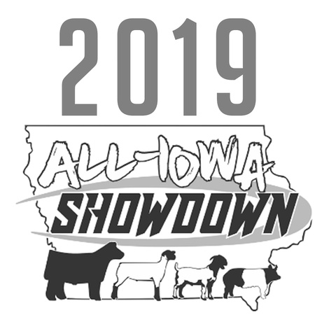 2019 All Iowa Logo