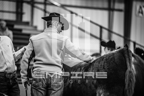 HJ23-SELS-0704-2