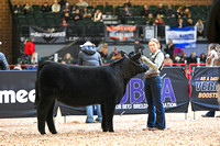 HJ23-IBE-2015