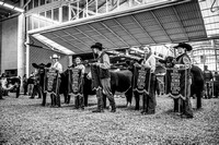 SCR24_IBE-1284