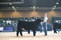 Breeding Grand Drive
