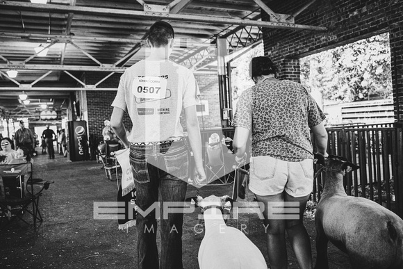 SCR_3481