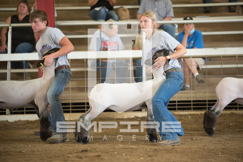 Empire Imagery Minnesota Youth Livestock Expo