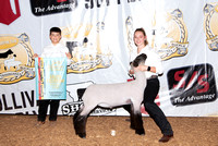 Champion Backdrops