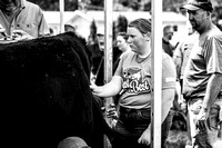 KSO_8024-2