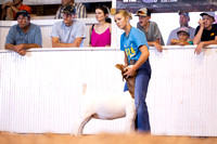 KSO_8282-2