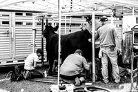 KSO_8021-2