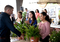 Horticulture