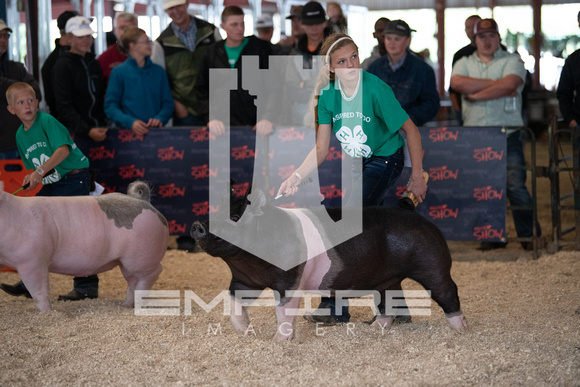 ZLP_0575