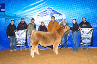 Junior Show