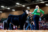 2025 Iowa Beef Expo