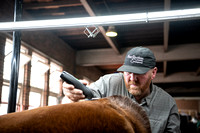 Around The Cattle Barns