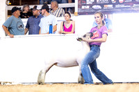 KSO_8518
