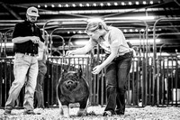 Showmanship