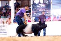 KSO_8696-2