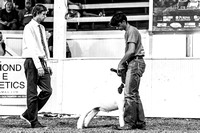 KSO_8841