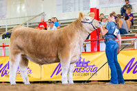 Charolais Composite