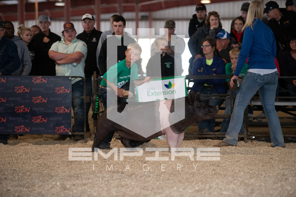 ZLP_0586